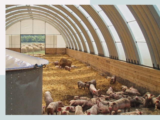 Строительство свинарников в Гатчине