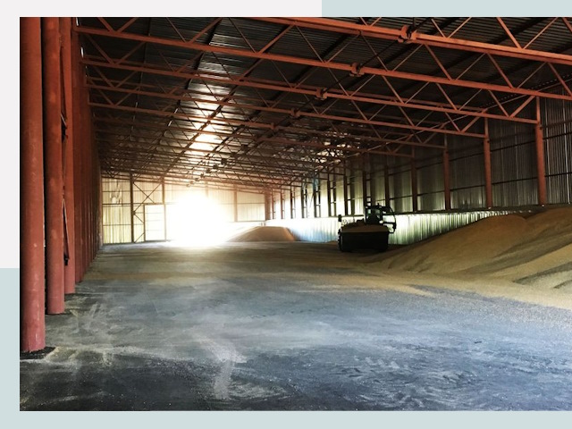 Строительство зернохранилищ в Гатчине