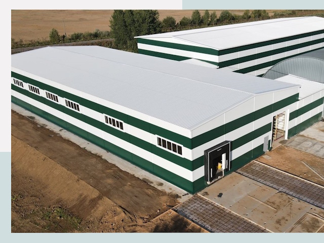 Строительство овощехранилищ в Гатчине