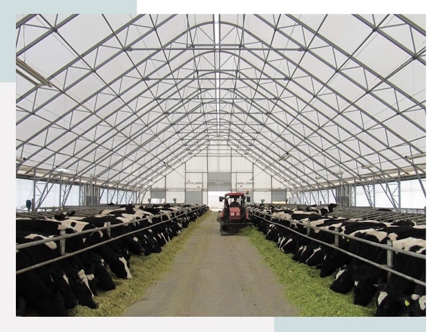 Тентовые коровники в Гатчине от 617 руб. - Надежно и доступно